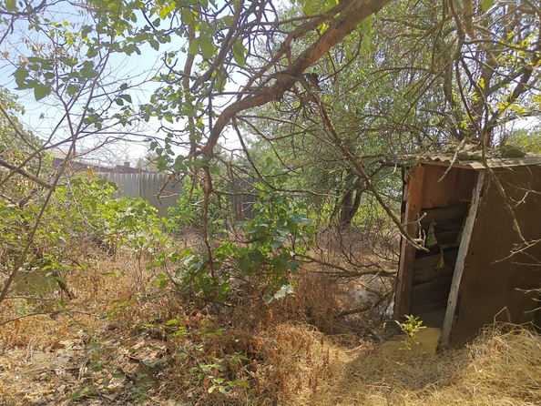 
  Продается земельный участок, 14 соток, село Синявское
. Фото 17.