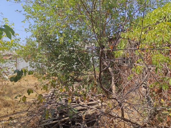 
  Продается земельный участок, 14 соток, село Синявское
. Фото 25.