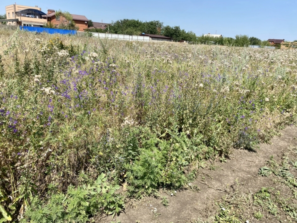 
  Продается земельный участок, 8 соток, поселок Мокрый Батай
. Фото 2.