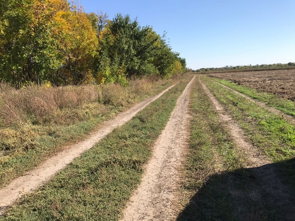 
  Продается земельный участок, 7 соток, хутор Нижнеподпольный
. Фото 5.
