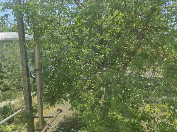 
  Продается 2-комн. квартира, 40.8 м², Дружбы ул, д. 5
. Фото 13.