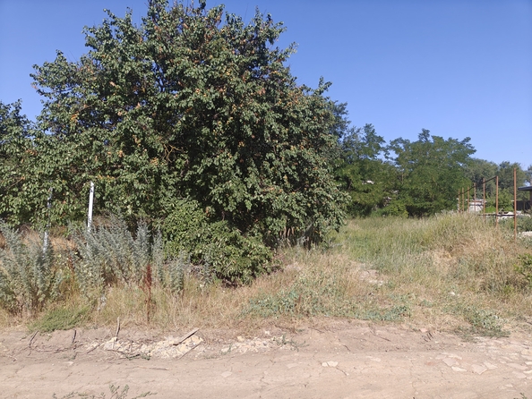 
  Продается земельный участок, 7 соток, Ростов-на-Дону
. Фото 5.