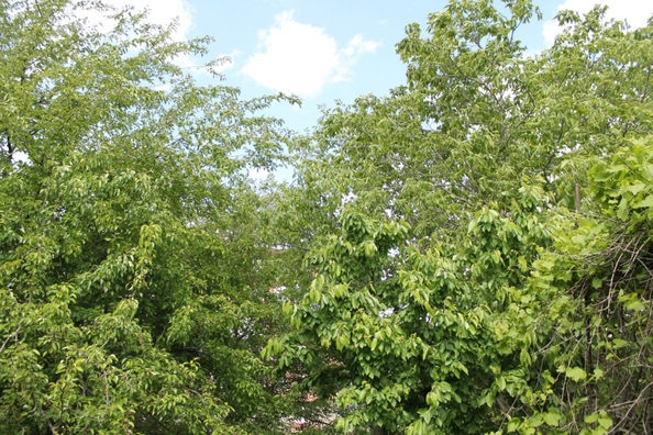 
  Продается земельный участок, 15 соток, Ростов-на-Дону
. Фото 8.