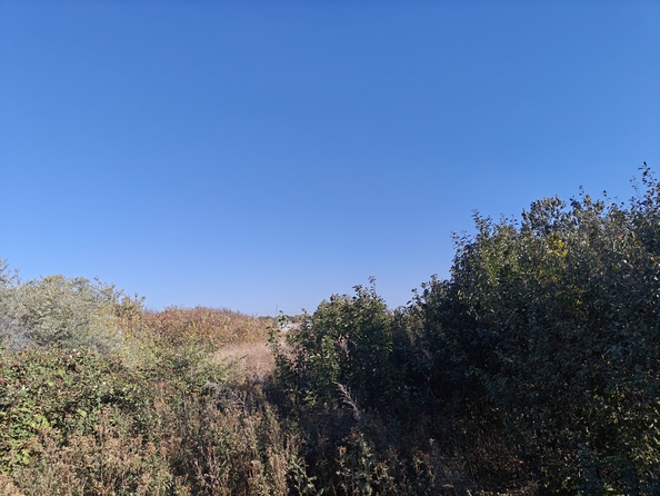 
  Продается земельный участок, 6 соток, поселок Темерницкий
. Фото 1.