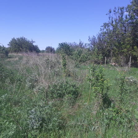 
  Продается земельный участок, 12 соток, хутор Мержаново
. Фото 3.