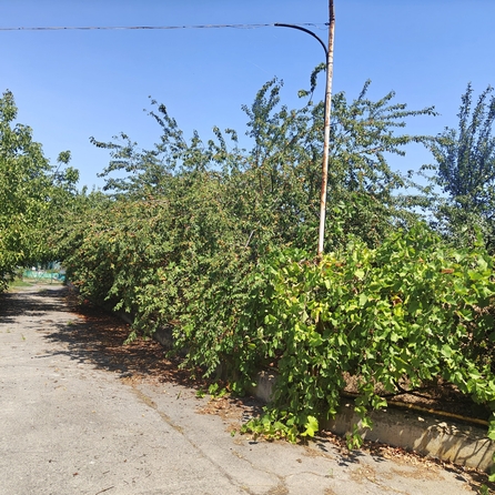 
  Продается земельный участок, 5.5 соток, хутор Шмат
. Фото 5.