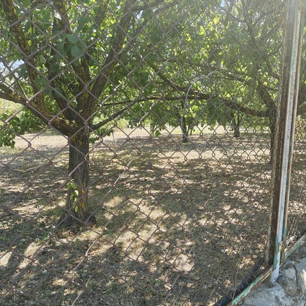 
  Продается земельный участок, 5.5 соток, хутор Шмат
. Фото 9.