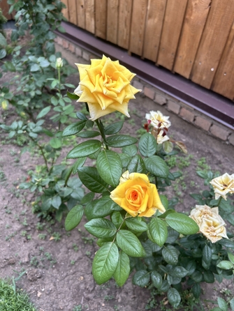 
  Продается дом, 135 м², Ростов-на-Дону
. Фото 13.