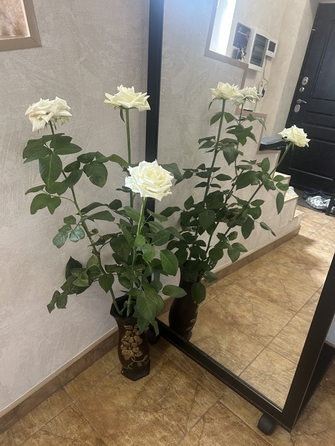 
  Продается дом, 135 м², Ростов-на-Дону
. Фото 14.