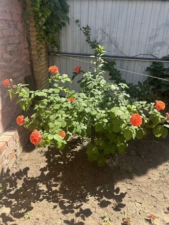 
  Продается дом, 135 м², Ростов-на-Дону
. Фото 39.