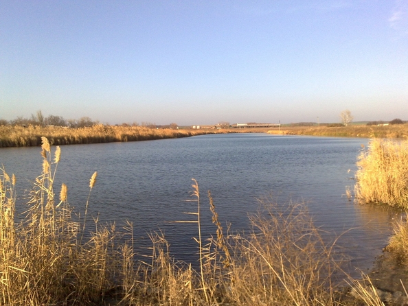 
  Продается земельный участок, 38.93 соток, хутор Кут
. Фото 12.