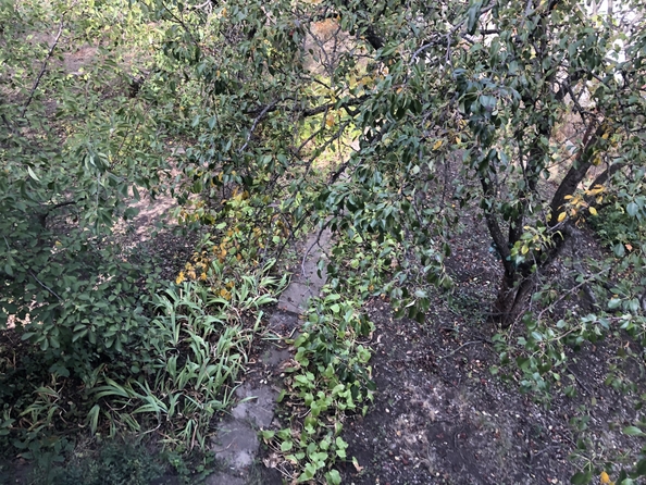 
  Продается дача, 64 м², Ростов-на-Дону
. Фото 10.