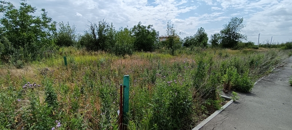 
  Продается земельный участок, 6 соток, поселок Рассвет
. Фото 5.