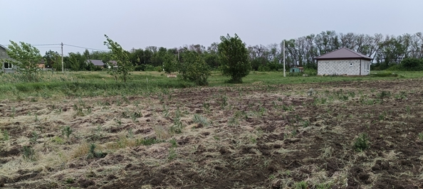 
  Продается земельный участок, 8.76 соток, поселок Красный
. Фото 2.