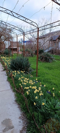 
  Продается дом 240 м². Фото 2.