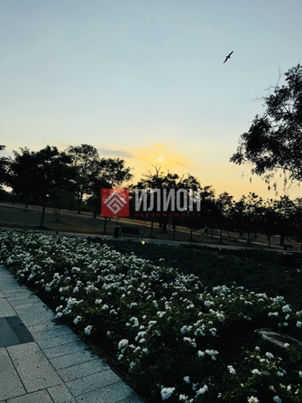 
  Продается земельный участок 11 соток. Фото 8.