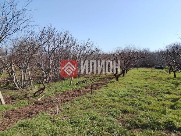
  Продается земельный участок 15 соток. Фото 1.