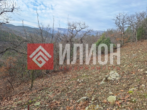 
  Продается земельный участок 5 соток. Фото 13.