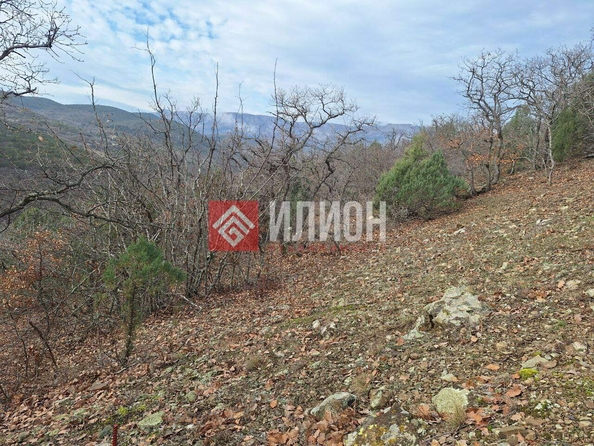 
  Продается земельный участок 5 соток. Фото 13.