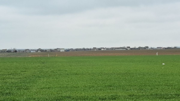 
  Продается земельный участок 6 соток. Фото 3.