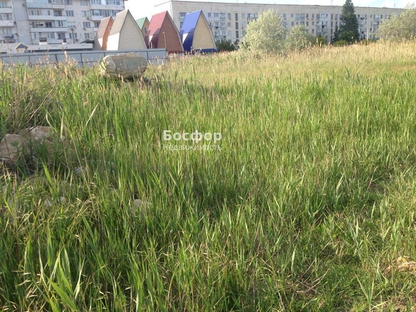 
  Продается земельный участок 10 соток. Фото 2.