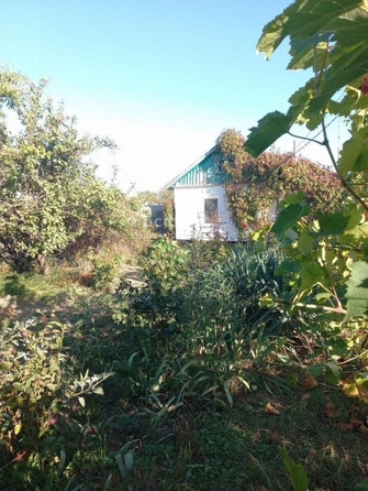 
  Продается дом 38.4 м². Фото 16.