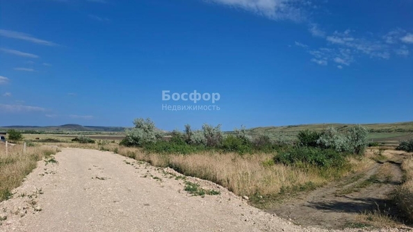 
  Продается земельный участок 25 соток. Фото 2.