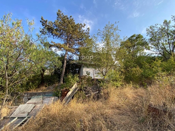 
  Продается дача 50 м². Фото 13.