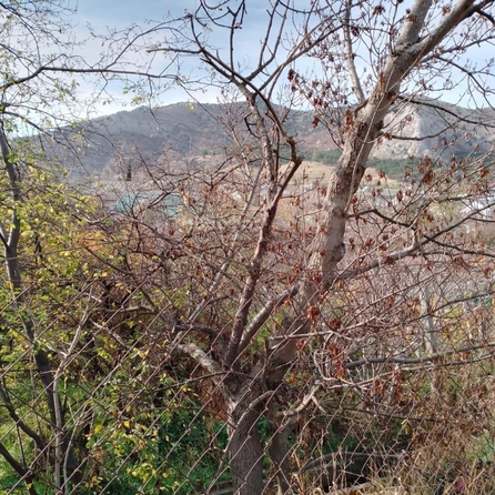 
  Продается земельный участок 3 сотки. Фото 4.