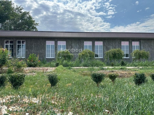 
  Сдается торговая площадь 300 м². Фото 1.