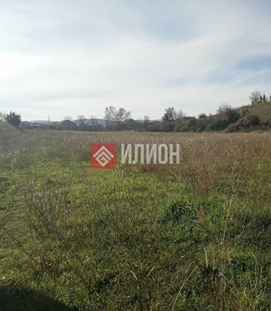 
  Продается земельный участок 38.1 соток. Фото 2.