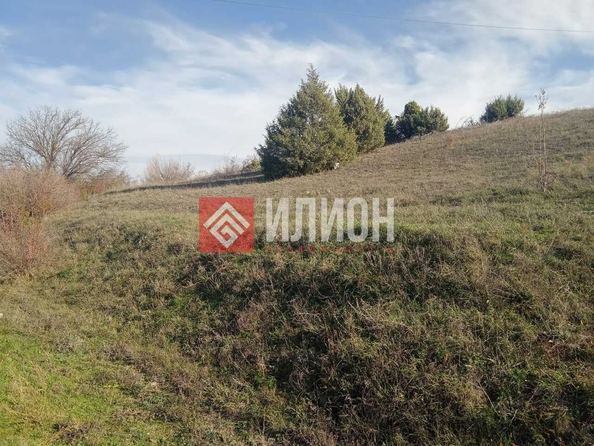
  Продается земельный участок 80 соток. Фото 6.