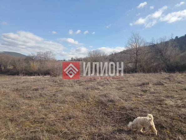 
  Продается земельный участок 97 соток. Фото 5.