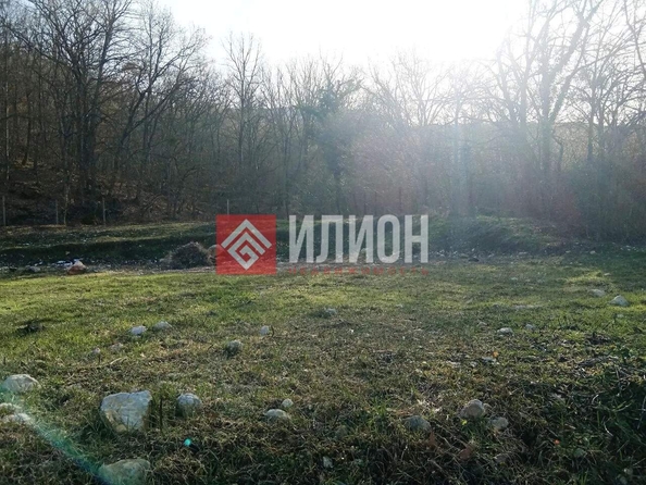 
  Продается земельный участок 60 соток. Фото 5.
