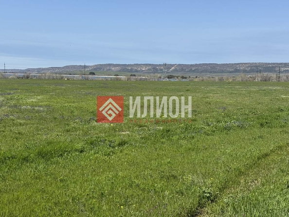 
  Продается земельный участок 99 соток. Фото 3.