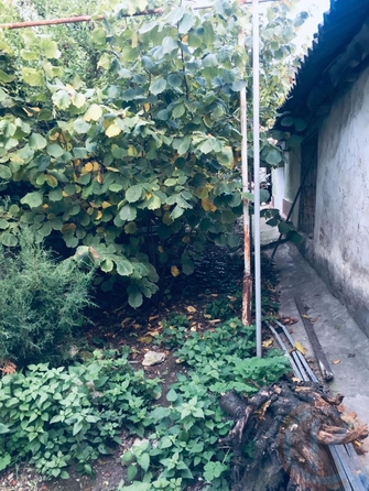 
  Продается 3-комн. квартира 60 м². Фото 2.
