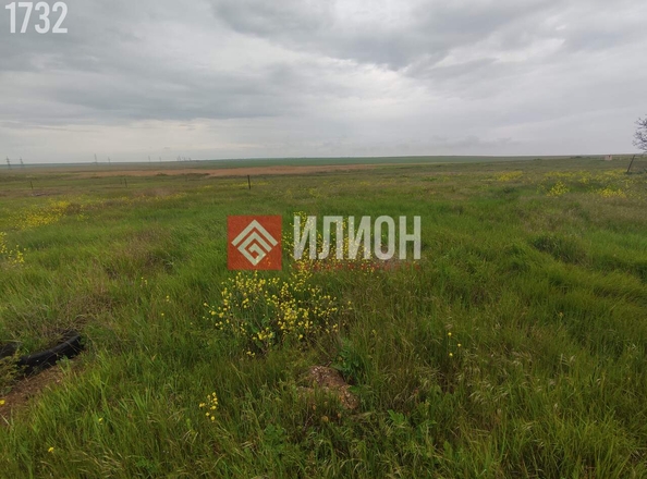 
  Продается земельный участок 4 сотки. Фото 5.