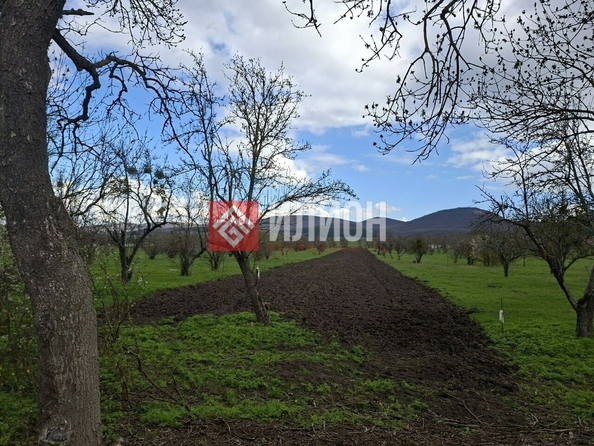 
  Продается земельный участок 190 соток. Фото 7.