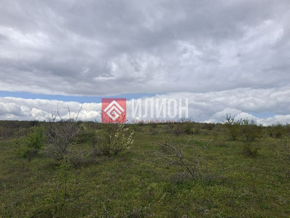 
  Продается земельный участок 280 соток. Фото 4.