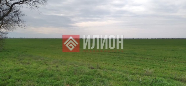 
  Продается земельный участок 8 соток. Фото 3.