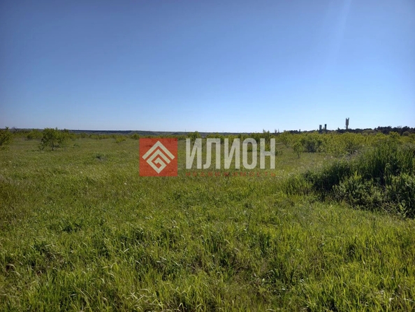 
  Продается земельный участок 6 соток. Фото 6.