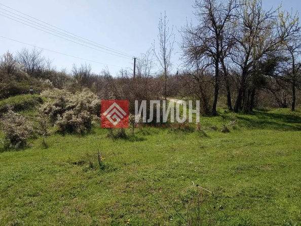 
  Продается земельный участок 116 соток. Фото 12.