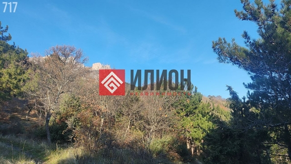 
  Продается земельный участок 9 соток. Фото 2.