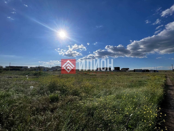 
  Продается земельный участок 8 соток. Фото 5.