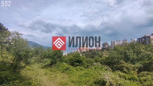 
  Продается земельный участок 40 соток. Фото 2.