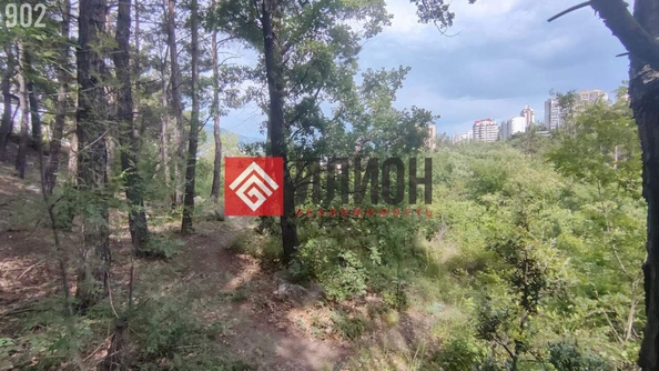 
  Продается земельный участок 40 соток. Фото 5.