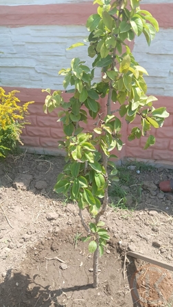 
  Продается коттедж 91.5 м². Фото 34.