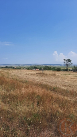 
  Продается земельный участок 200 соток. Фото 1.