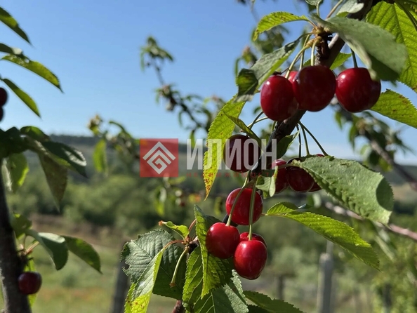 
  Продается земельный участок 5 соток. Фото 4.