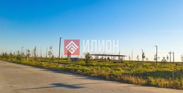 
  Продается земельный участок 8 соток. Фото 6.